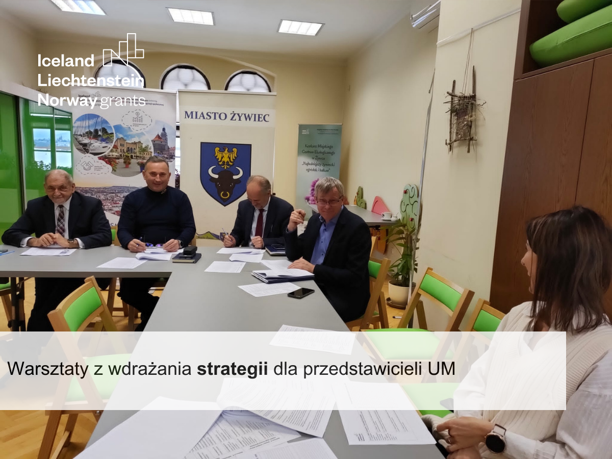 Warsztaty z wdrożenia strategii